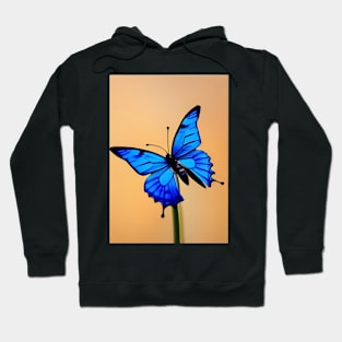 EYECATCHING BLUE BUTTERFLY Hoodie